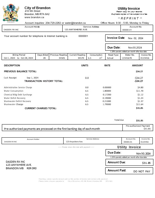 USA BRANDON MISSISSIPPI business utility bill Word and PDF template PSD template
